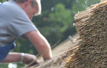 professional Portormin thatchers